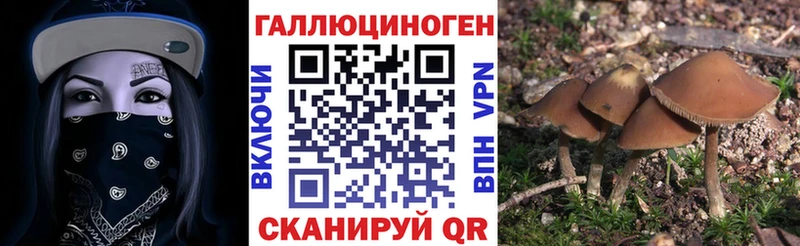 Галлюциногенные грибы GOLDEN TEACHER  Трёхгорный 