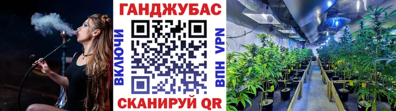 Бошки Шишки семена  купить закладку  kraken tor  Трёхгорный 